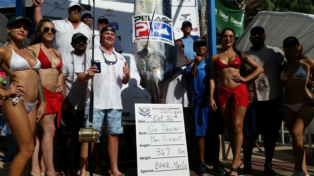 Huge Blue Marlin Caught and Released on 30 Pound Test!